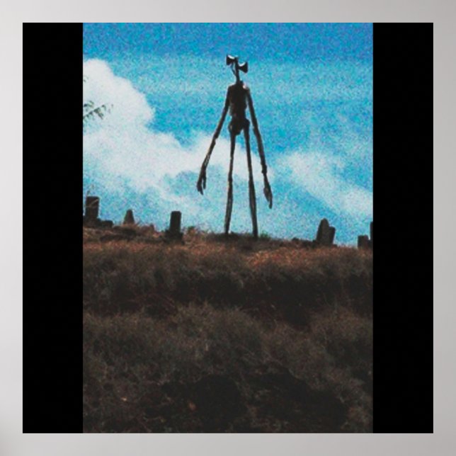 Poster Tête de sirène photo d'horreur (Devant)