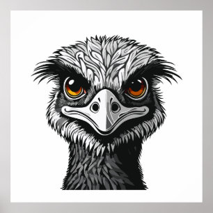 Poster Tête d'oiseau Émeu