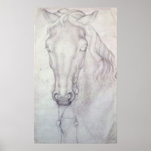 Poster Tête d'un cheval