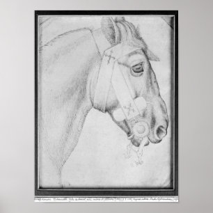 Poster Tête d'un cheval, le de l'album de Vallardi