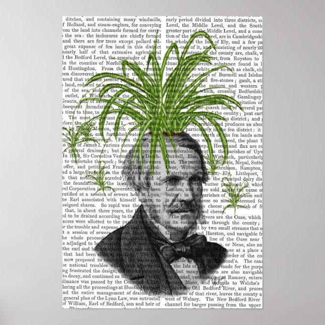 Poster Tête Plante Spider (Devant)