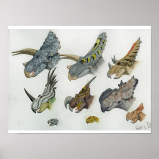 Poster Têtes de cératophe Imprimer