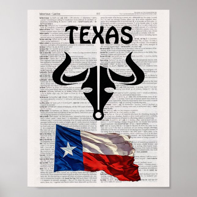 Poster TEXAS (Devant)