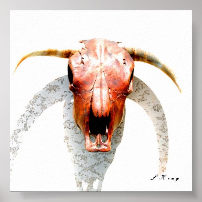 Poster Texas (Devant)