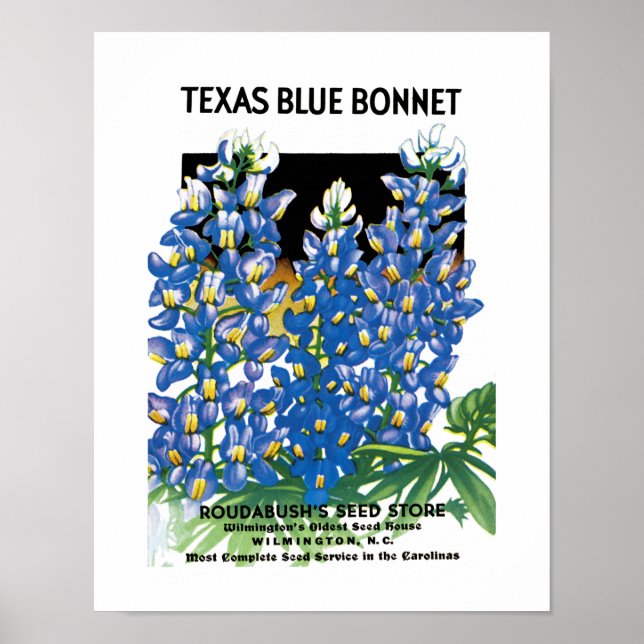 Poster Texas Blue Bonnet Étiquette de paquets de semences (Devant)