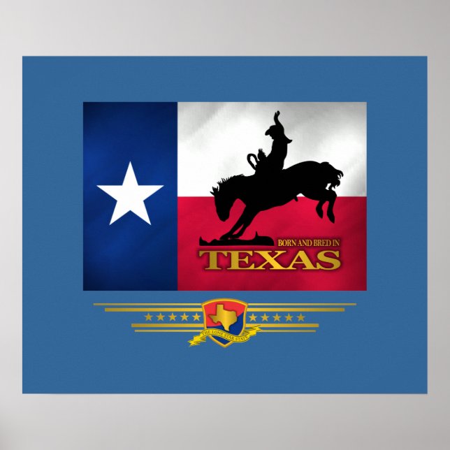 Poster Texas Born & Bred (Devant)