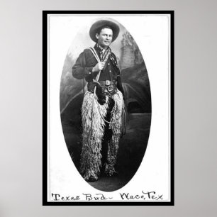 Poster Texas Bud