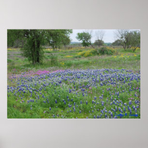 Poster Texas Hill Country Print