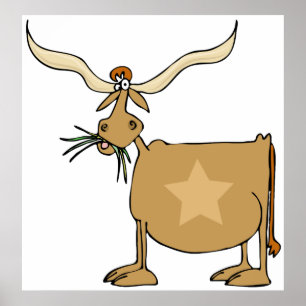 Poster Texas Longhorn Cow