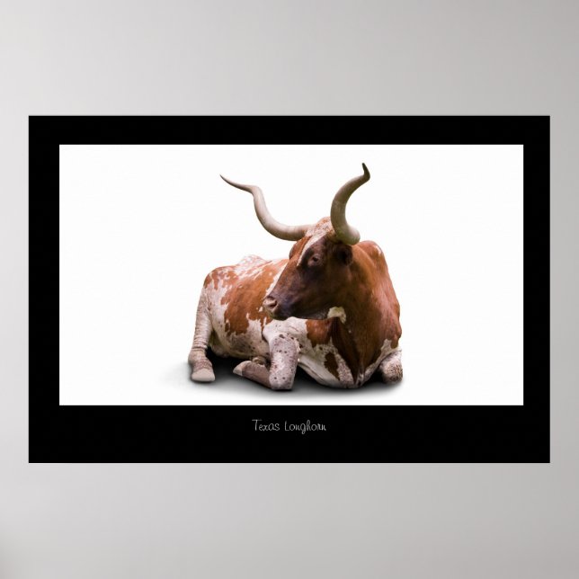 Poster Texas Longhorn Imprimer (Devant)