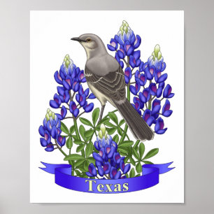 Poster Texas State Mockingbird & Bluebonnet Flower