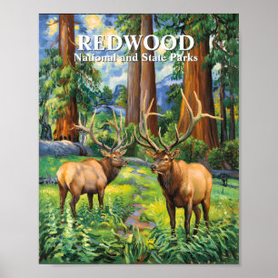 Poster Texte personnalisé Elan Redwood Californie Forêt V