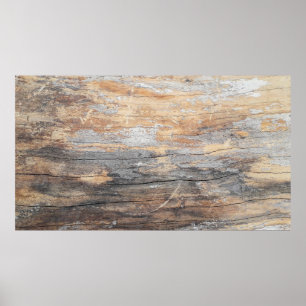 Poster texture arrière - plan vieux beau treeabstract, ba