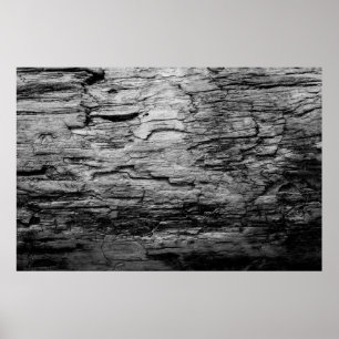 Poster Texture bois noir et blanc