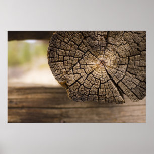 Poster Texture Cabine ancienne