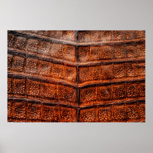 Poster Texture de la peau de serpent sans transparence. M