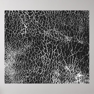 Poster Texture de superposition désaffectée du crocodile 