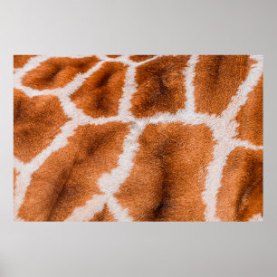 Poster Texture d'impression de girafe