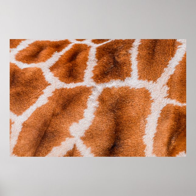 Poster Texture d'impression de girafe (Devant)
