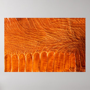 Poster Texture en cuir d'autruche