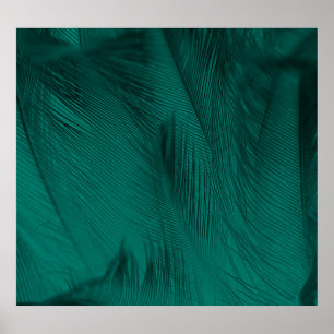 Poster Texture Vintage de plumes vert foncé