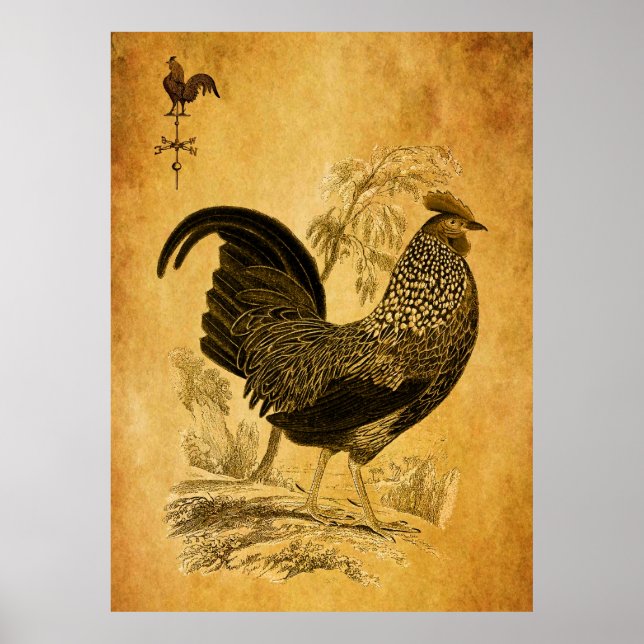 Poster Thanksgiving Rooster (Devant)