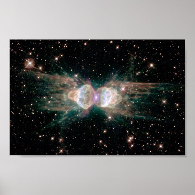 Poster The Ant Nebula (Devant)
