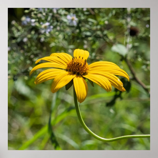 Poster The Bend Floral (Devant)