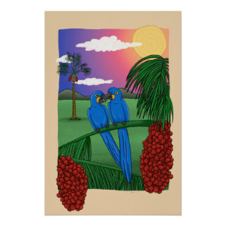 Poster The Blue Macaw and the acuri coconut