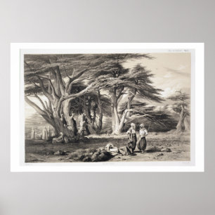 Poster The Cedars of Lebanon, engraved by Freeman (sepia