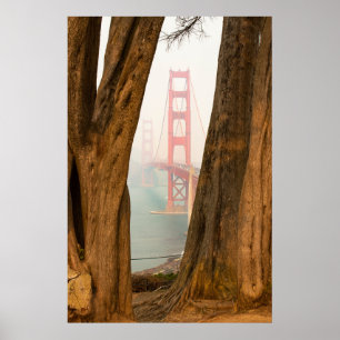 Poster The Golden Gate Bridge   Trees from Overlook View