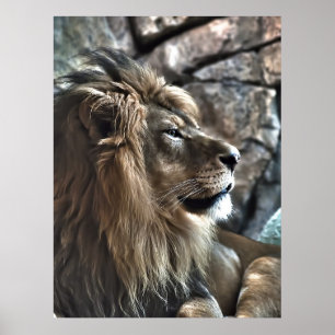 Poster The King