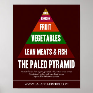 Poster: The Paleo Pyramid Poster