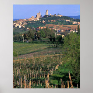 Poster The village of San Gimignano sits in the rolling