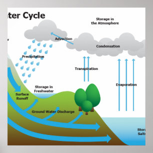 Poster The Water Cycle