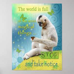 Poster The World is Full of Magic