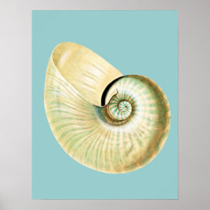 Poster Thème Plage Inspiré Zen