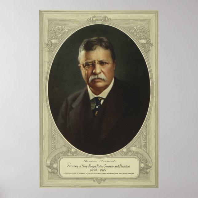 Poster Theodore Roosevelt (Devant)