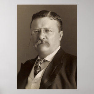 Poster Theodore Roosevelt, 26e président des États-Unis