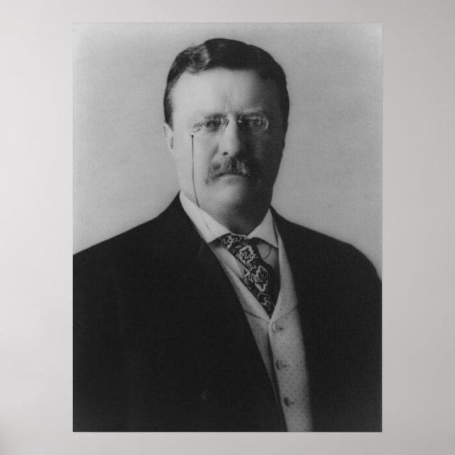 Poster Theodore Roosevelt Portrait (Devant)