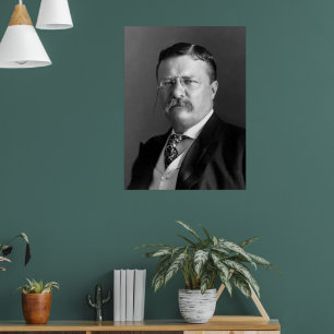 Poster Theodore Roosevelt Teddy Président républicain