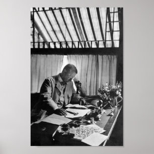 Poster Theodore Roosevelt Travailler Au Bureau - Sagamore