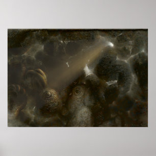 Poster Therone   Grotte étrange