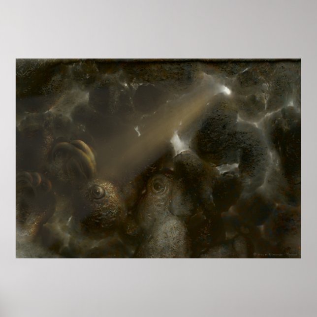 Poster Therone | Grotte étrange (Devant)