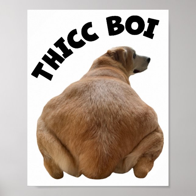 Poster Thicc Boi Gras et amusant Yellow Labrador Retrieve (Devant)