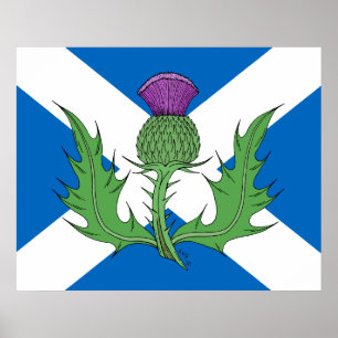 Poster Thistle écossais et sel