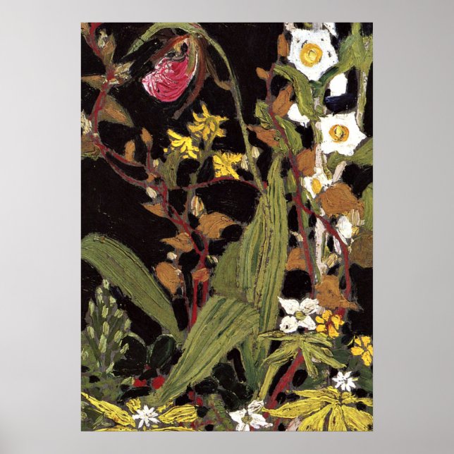 Poster Thomson - Orchidées, Parc Algonquin (Devant)