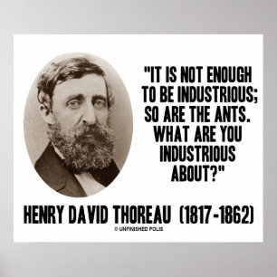 Poster Thoreau Ne Suffit Pas Pour Être Industrielle, De M