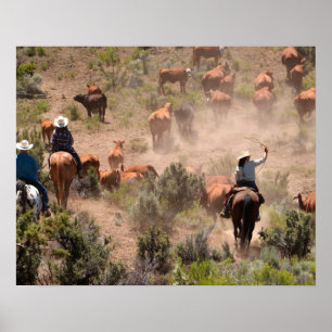 Poster Three cowboys and cowgirls driving cattle