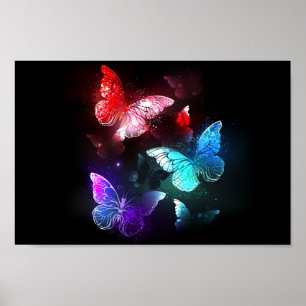 Poster Three Glowing Butterflies on night background